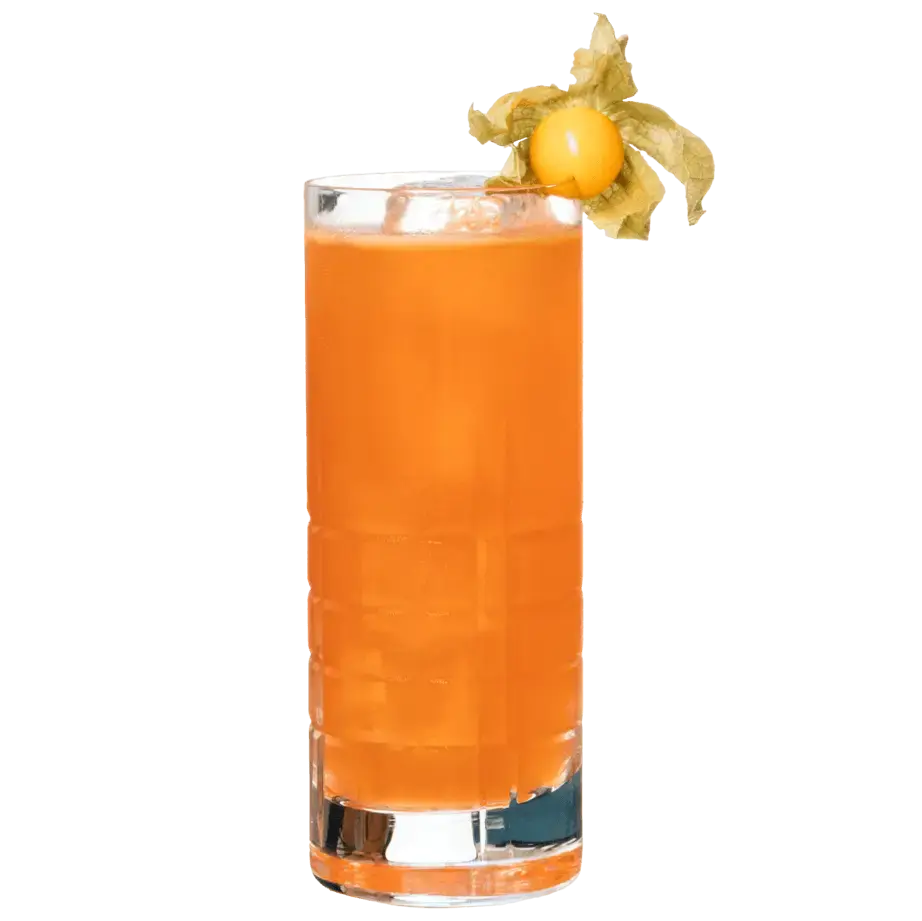 Physical on the Beach mit Lion's Vodka
