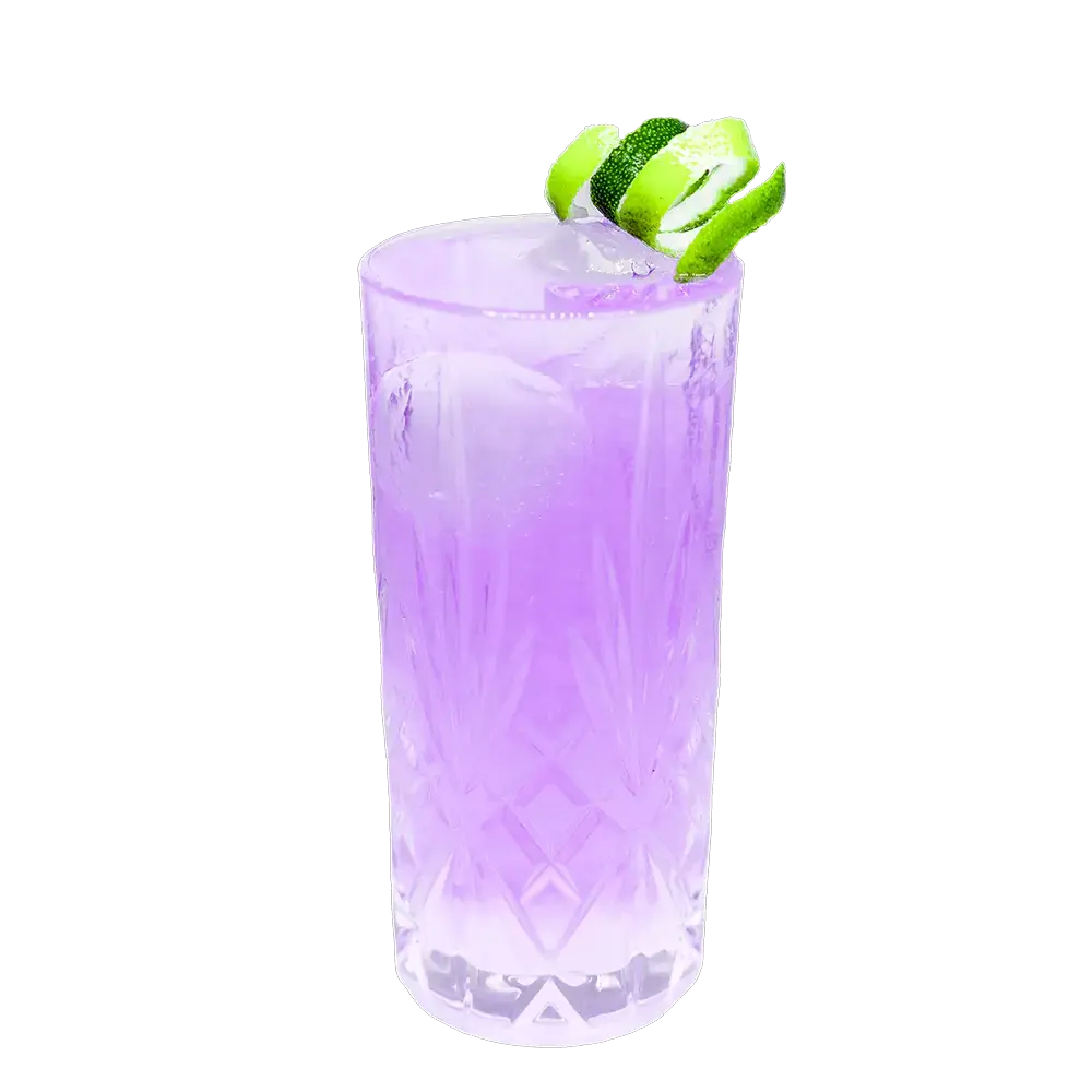 Pink Gin Rickey mit THE DUKE Munich Dry Gin