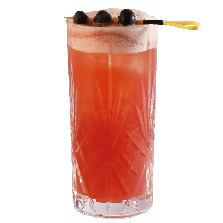 Sloe-Gin-Fizz THE DUKE