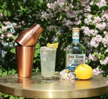 Gin Fizz Cocktail