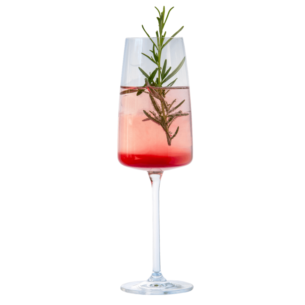 Gin Aronia Spritz mit THE DUKE Wanderlust Gin