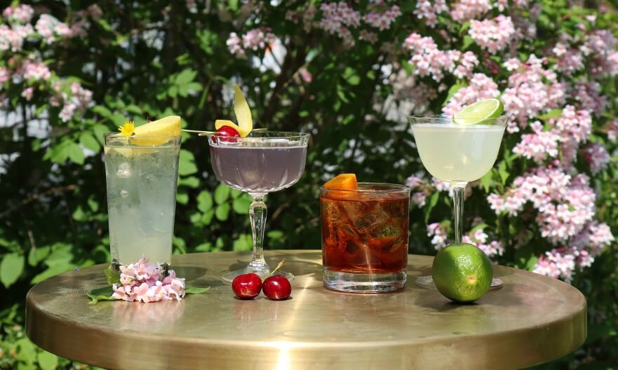 Gin Cocktail Klassiker