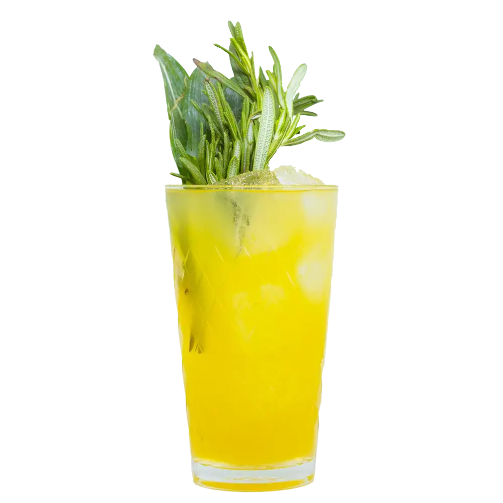 Asasanas mit THE DUKE Rough Gin 