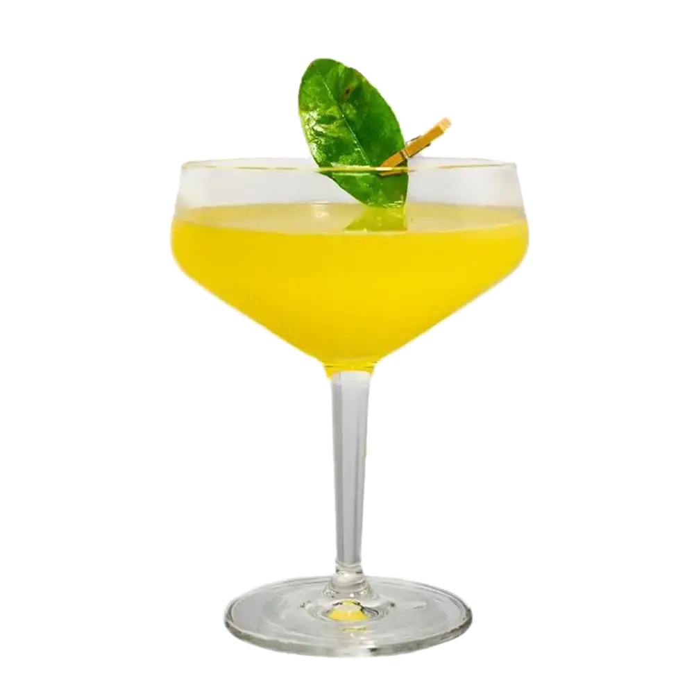 Botanic Gardens mit THE DUKE Munich Dry Gin