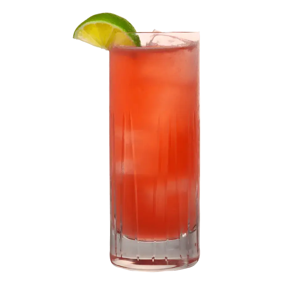 Cape Codder mit Lion's Vodka