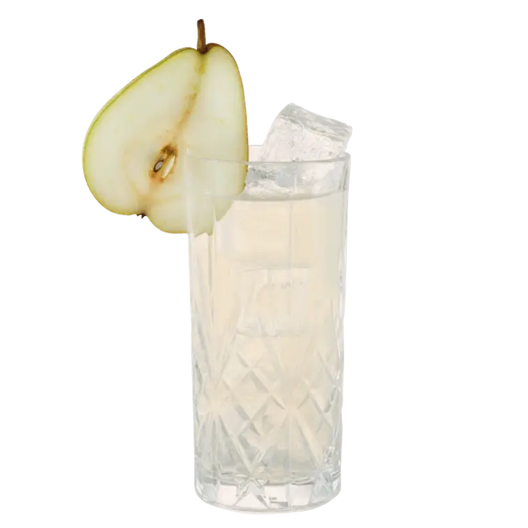 Fall G & T mit THE DUKE Rough Gin