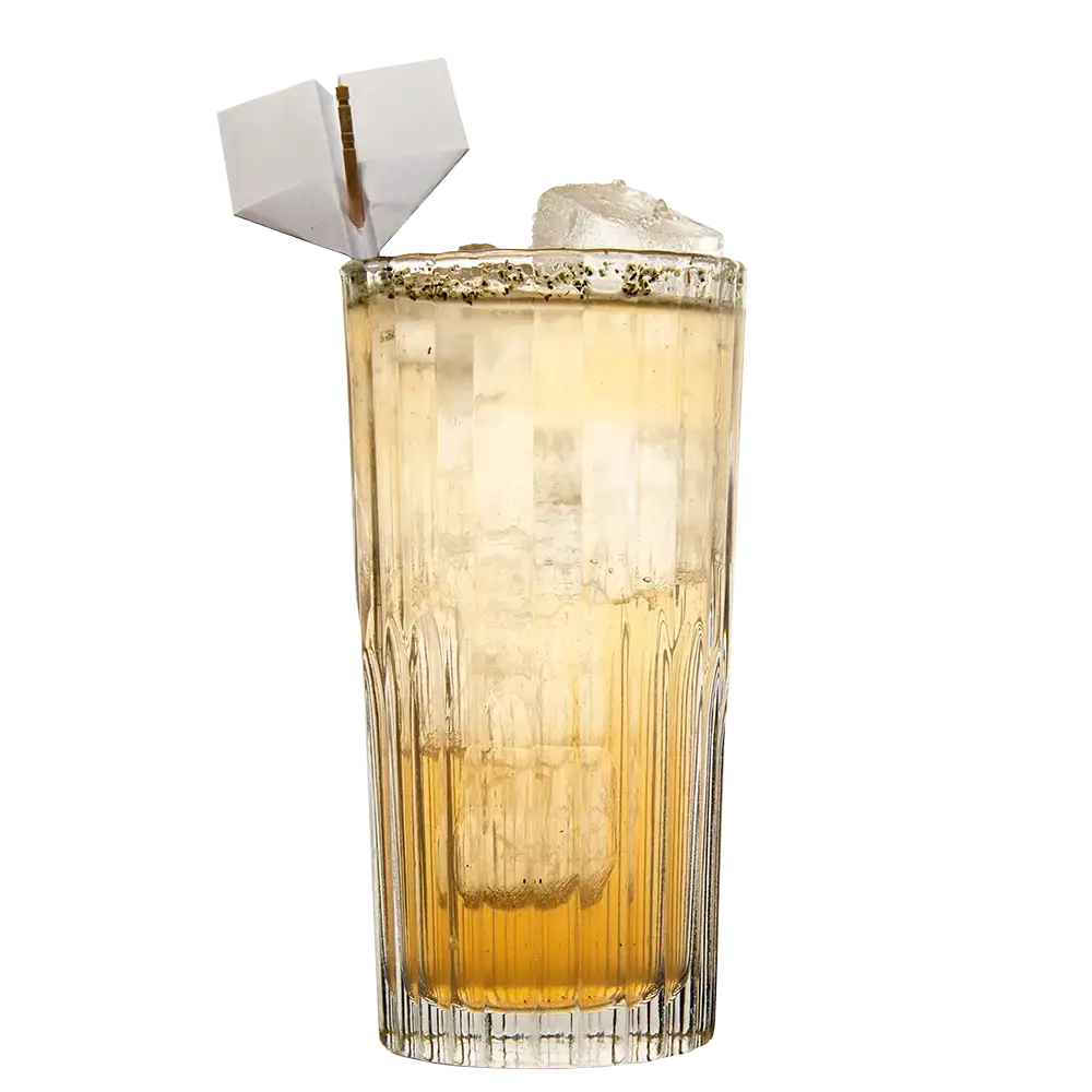 Fly High mit THE DUKE Munich Dry Gin 