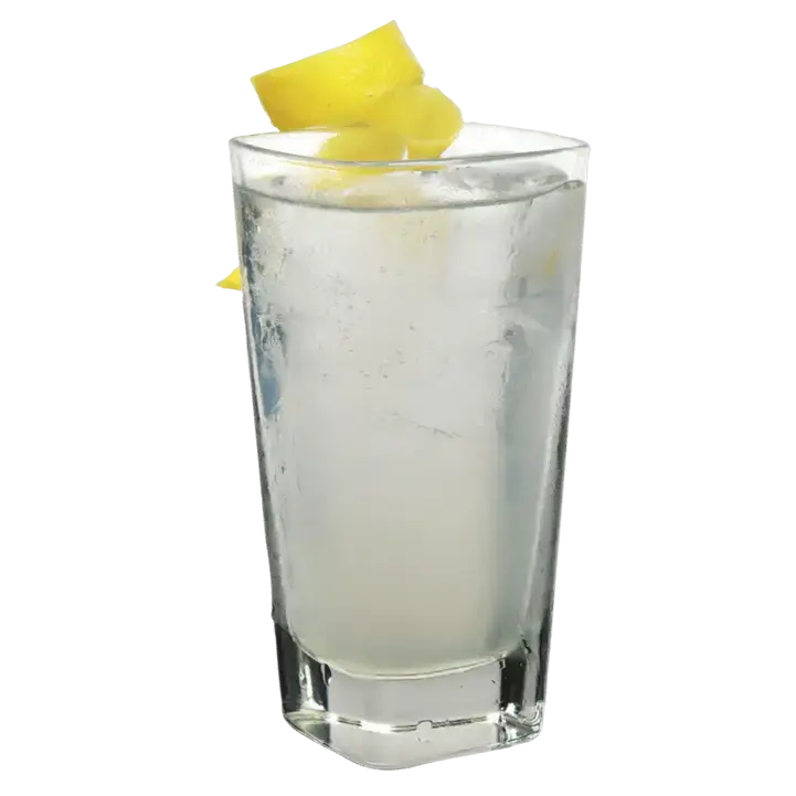 Gin Fizz mit THE DUKE Wanderlust 