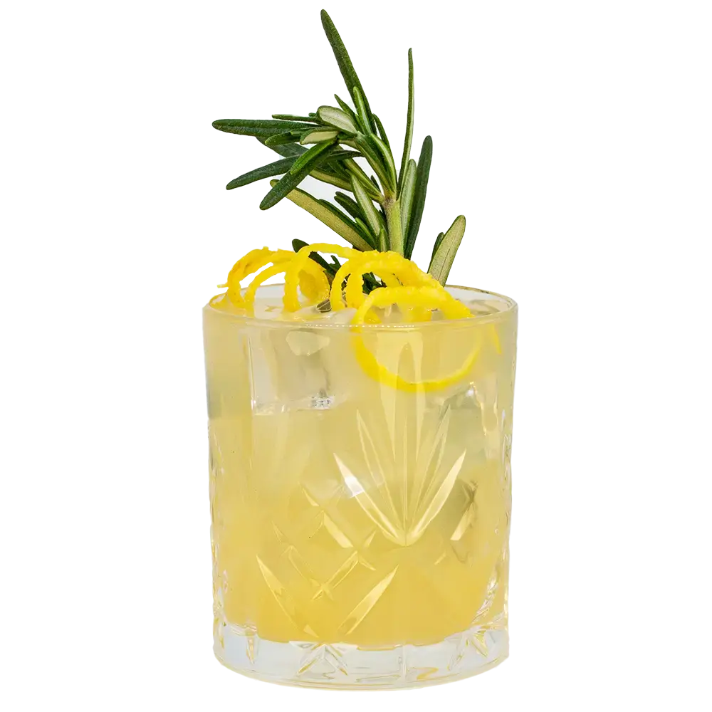 Juicy Delight mit THE DUKE Rough Gin 