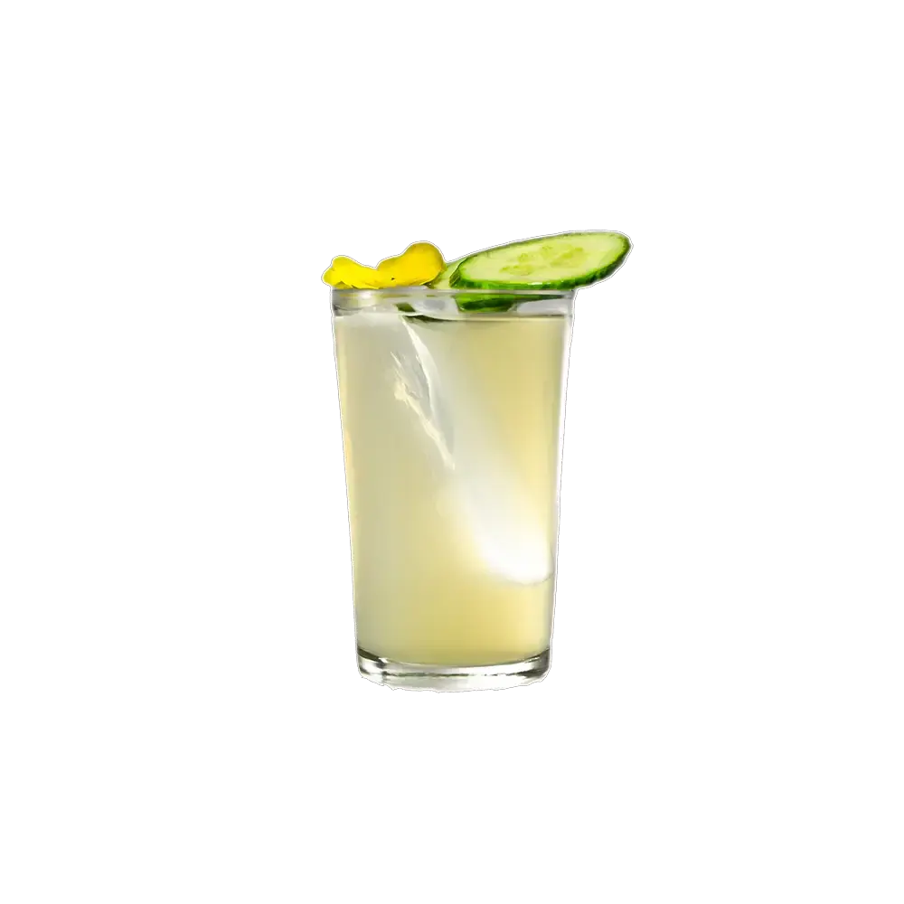 Lion's & Cucumber mit Lion's Vodka
