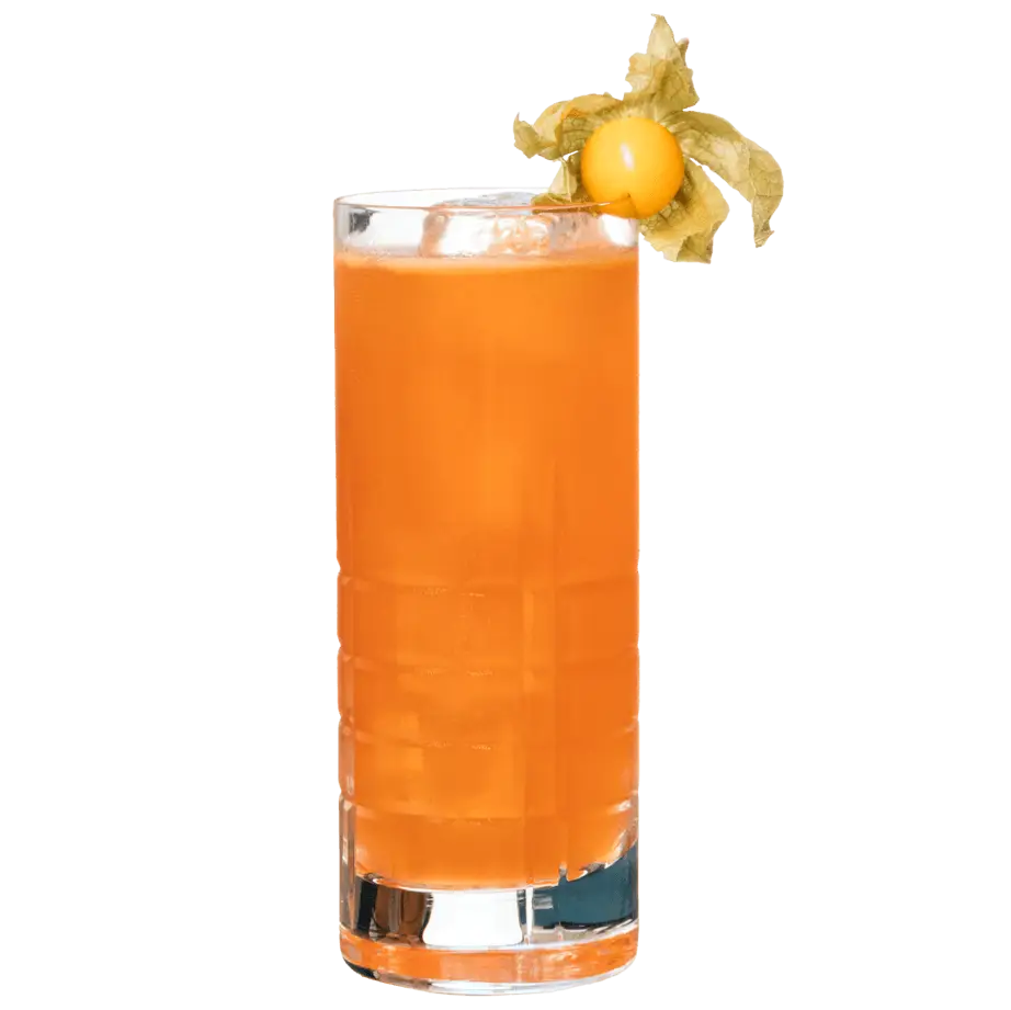 Physical on the Beach mit Lion's Vodka