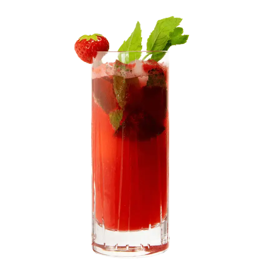 Strawberry Mint Gin & Tonic mit THE DUKE Munich Dry Gin
