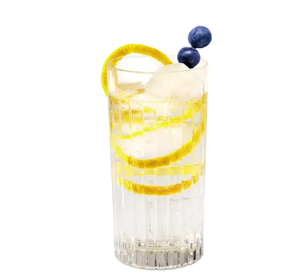 Summer G&T mit THE DUKE Summer Gin