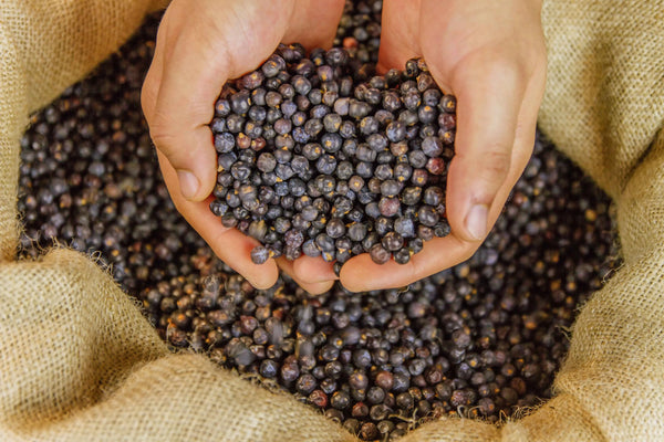 ’Der große Gin-Destillier-Kurs’